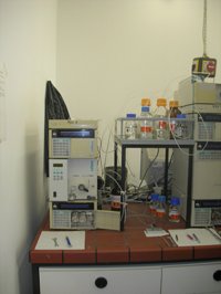 Analytical HPLC 1