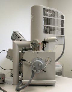 Environmental Scanning Electron Microscope II (SEM/ESEM)